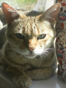 MISS TATIANA- FIRST BORN