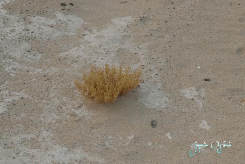 picsart_09-12-12-59-541