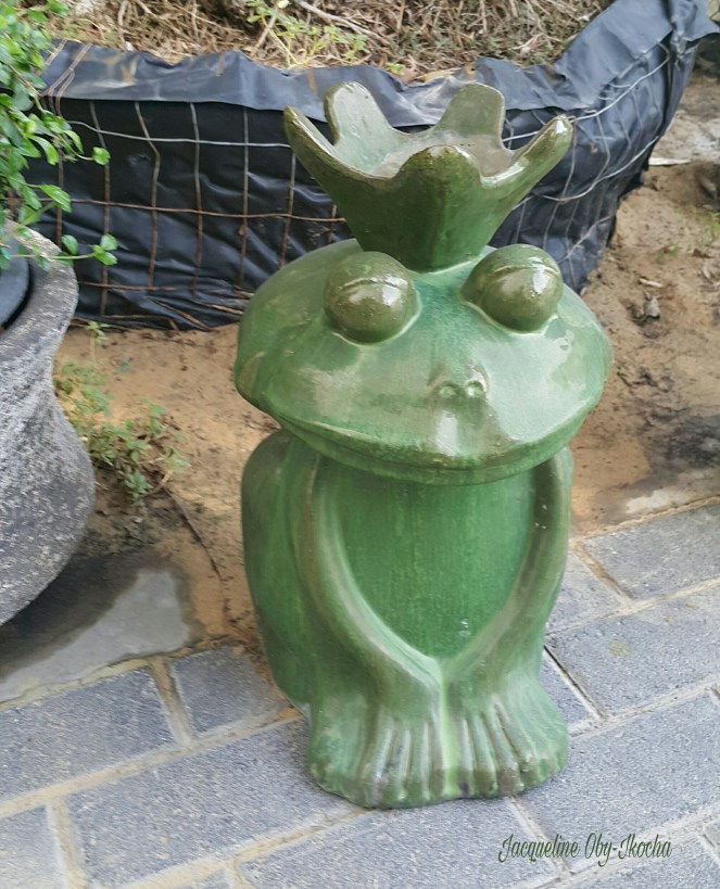 picsart_09-15-09-50-071