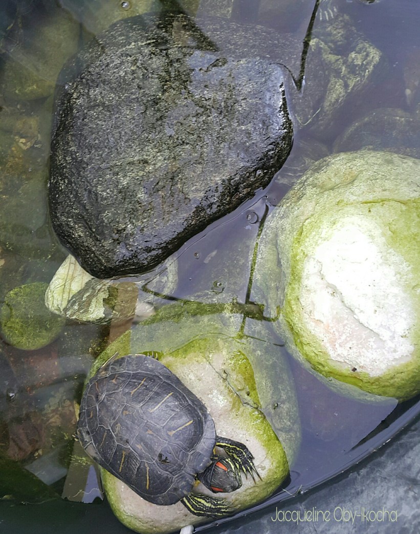 picsart_10-21-09-51-211