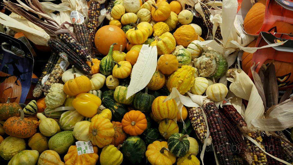 picsart_10-26-07-30-041