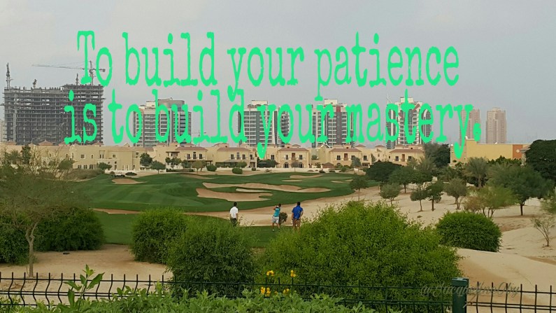 picsart_11-08-05-13-451