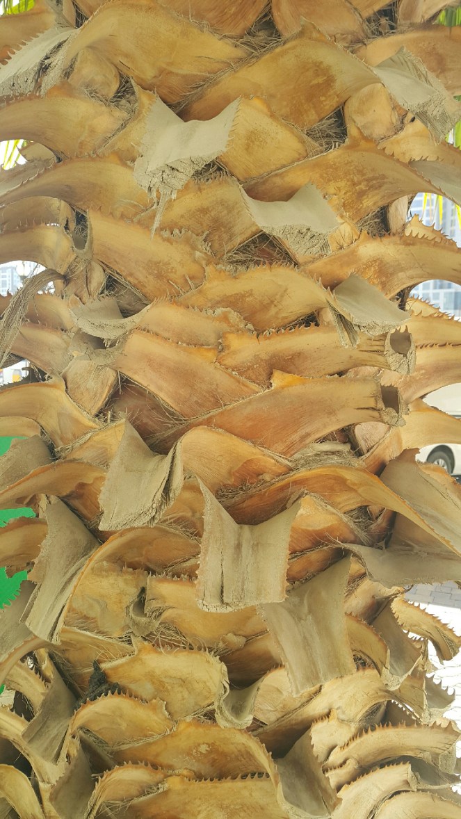 picsart_12-19-01-51-051