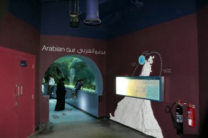 Emirates of Sharjah, Aquarium, Marine Life, Echoes of my neighbourhood, Beautiful, Nature,