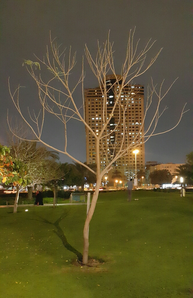 Nature, Photography, Landscape, Beautiful, Juxtaposition