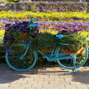 Garden Decoration, Flowers