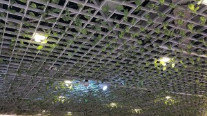 Ceiling grid, photos, beautiful