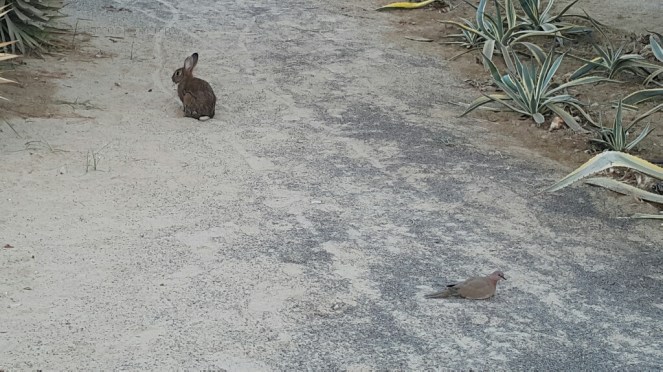 picsart_03-05-05-59-44