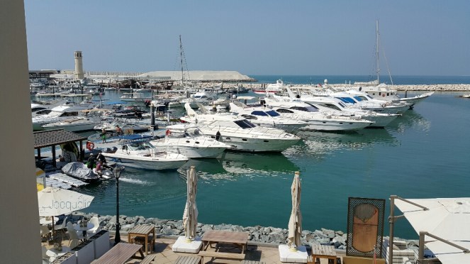 picsart_03-05-06-01-40