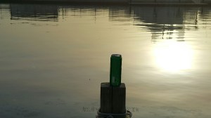 Environmental issues, Trash, Marine Life, Human Behaviour