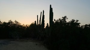 Poetry, Depression, Peace, Harmony, Life, Balance