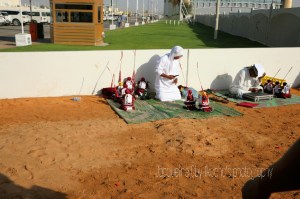 camel racing, photographs