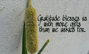 Gratitude, Quote, Divine Provision, Blessings, Favour