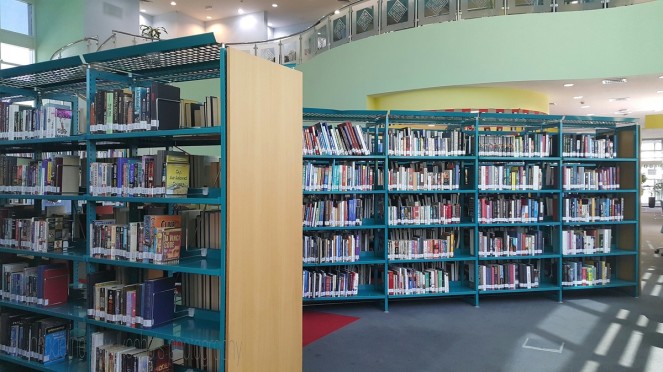 Library, books, reading, knowledge, information