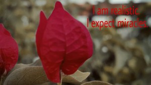 Miracles, Photographs, Quotes, Poetry