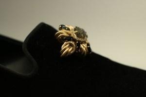 Shoe decoration, fashion, photo, velvet