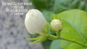 Moments, Memories, Jacqueline's Quotes