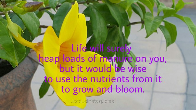 Life quotes, Jacqueline's quotes, life, bloom and grow