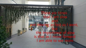 Quotes, Being slow, Life, Stress, Speed, Thankful