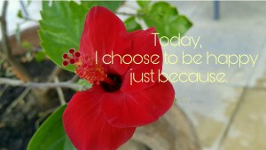 Flower petals, quote, Happiness, Today, Photograph