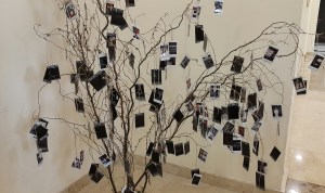 Photographs, Photo Tree, Creative Ideas, Photography