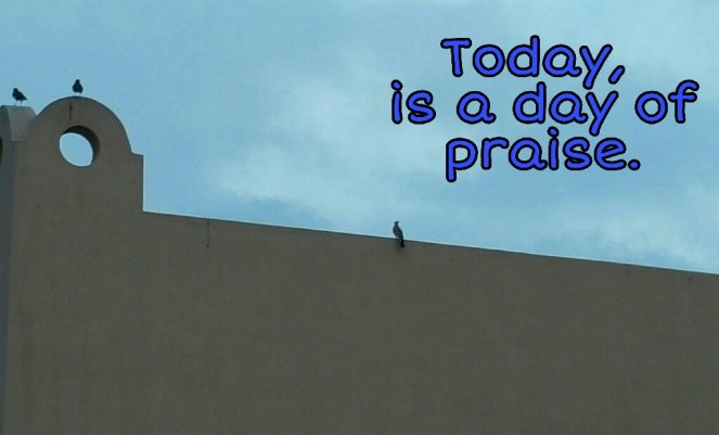 Today, Positive Quotes, Praise, Grateful,