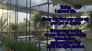 Life quotes, Today, Positivism, Choices