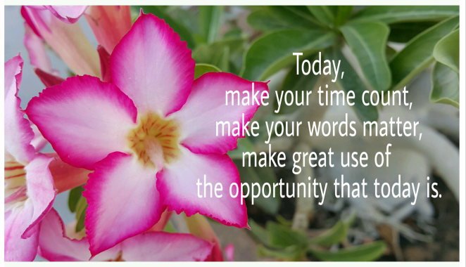 Today, Words of Wisdom, Opportunity, Time, Quotes