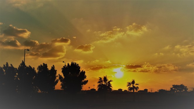 Sunset, Beautiful, Nature