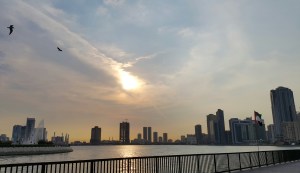 Walking, Meditating, Thinking, Reconnecting, Praise The Lord, Rejuvenating, Nature, Walk, In Spirit, Thankful