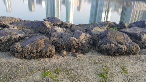 reflection, water, seaside